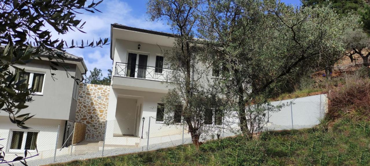Evergreen Thassos Skala Potamia  Esterno foto