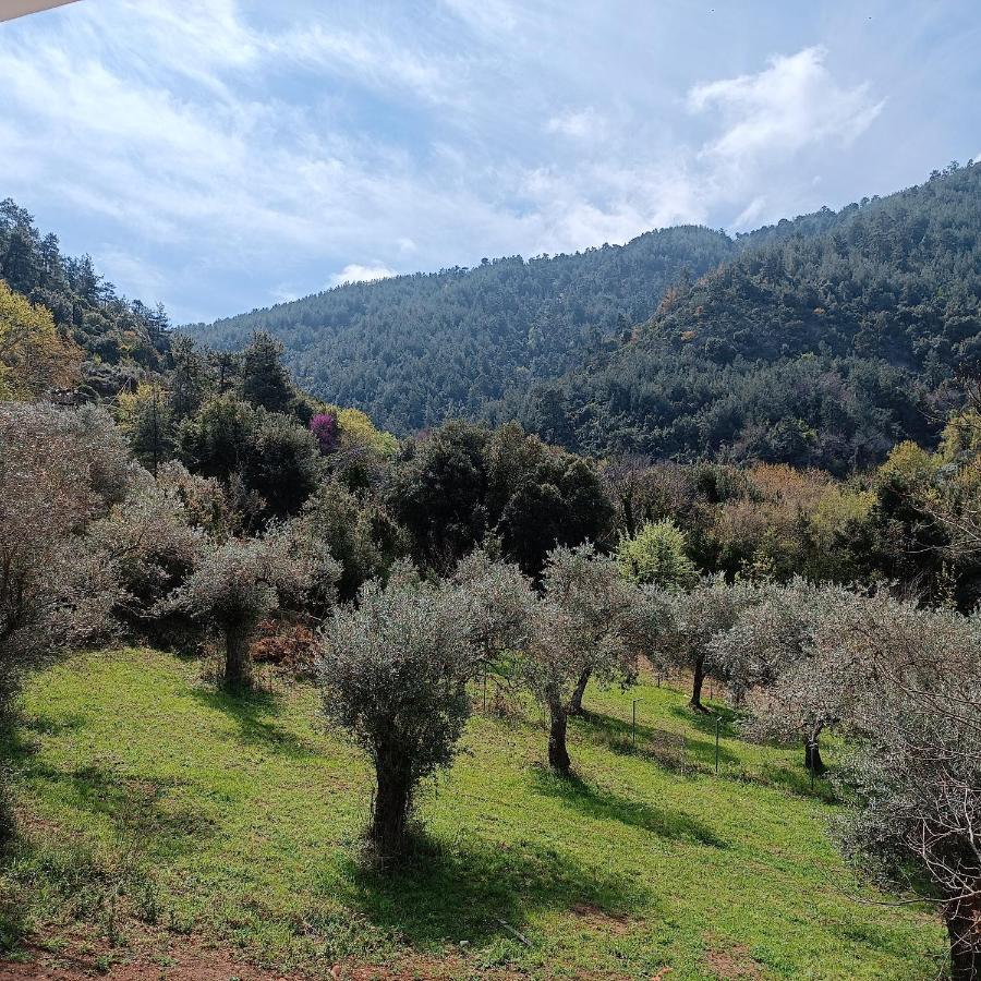 Evergreen Thassos Skala Potamia  Esterno foto